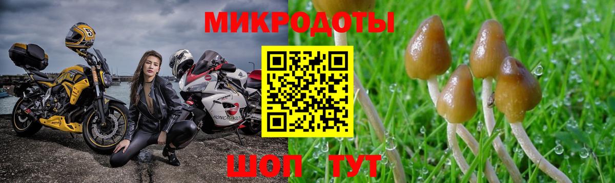 Галлюциногенные грибы мицелий  даркнет сайт  Великие Луки  Псилоцибиновые грибы Magic Shrooms 